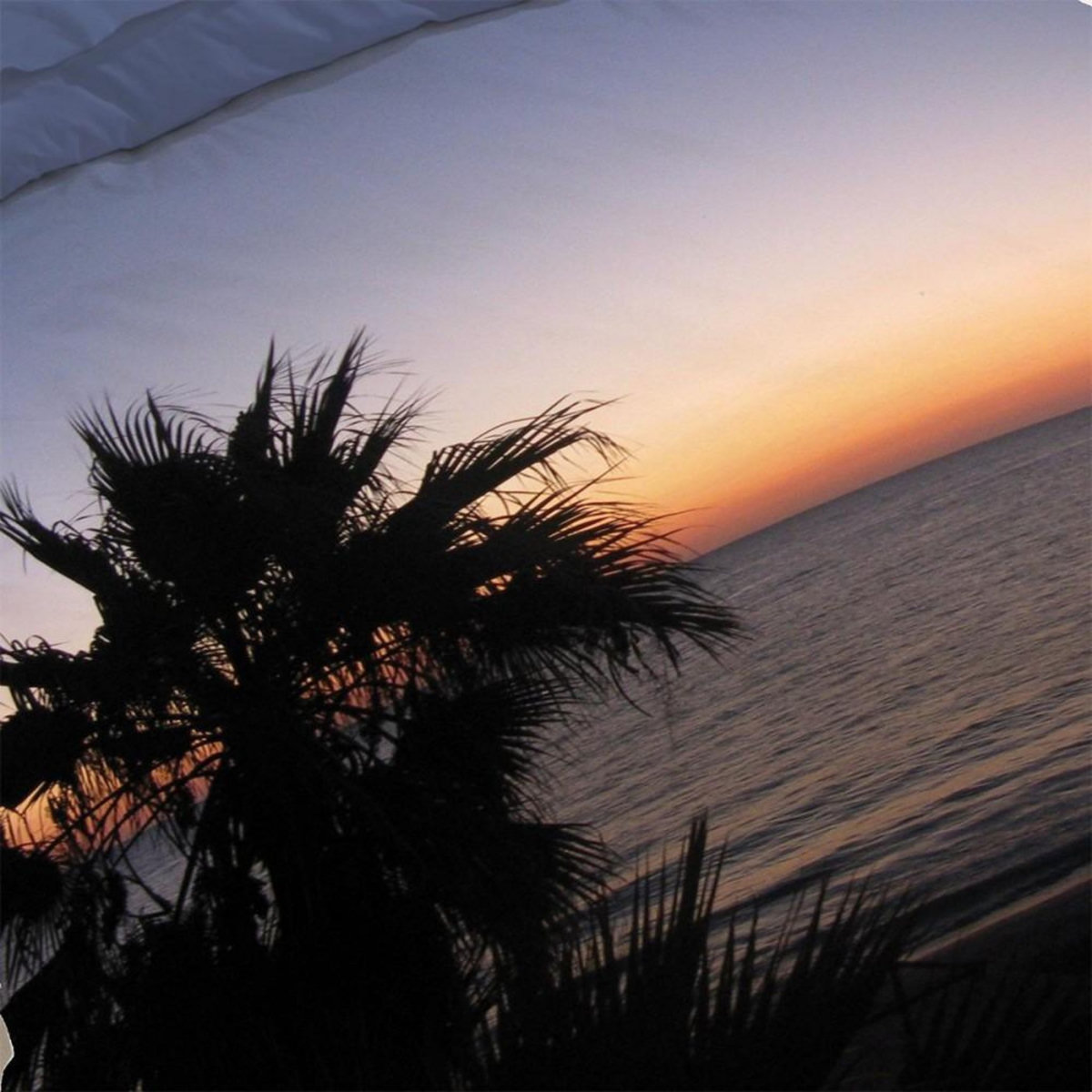 Dourev Housse de couette 240x220 Dolce vita + 2 taies coton 52 fils