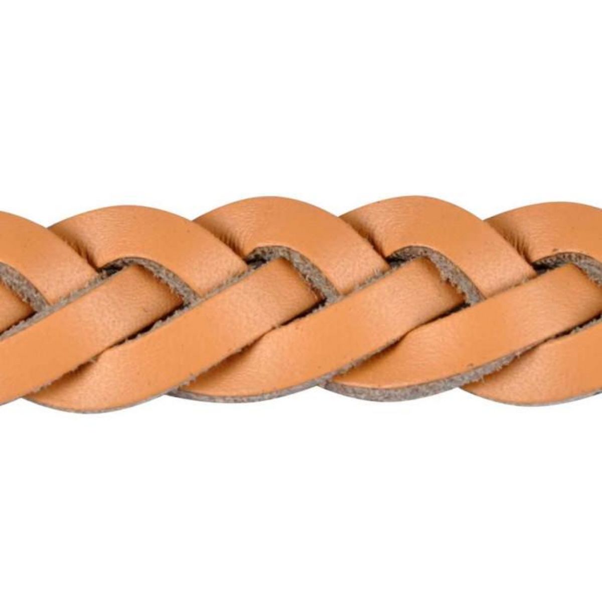 Paris Prix Collier pour Chien Réglable  Tressé  30-45cm Naturel