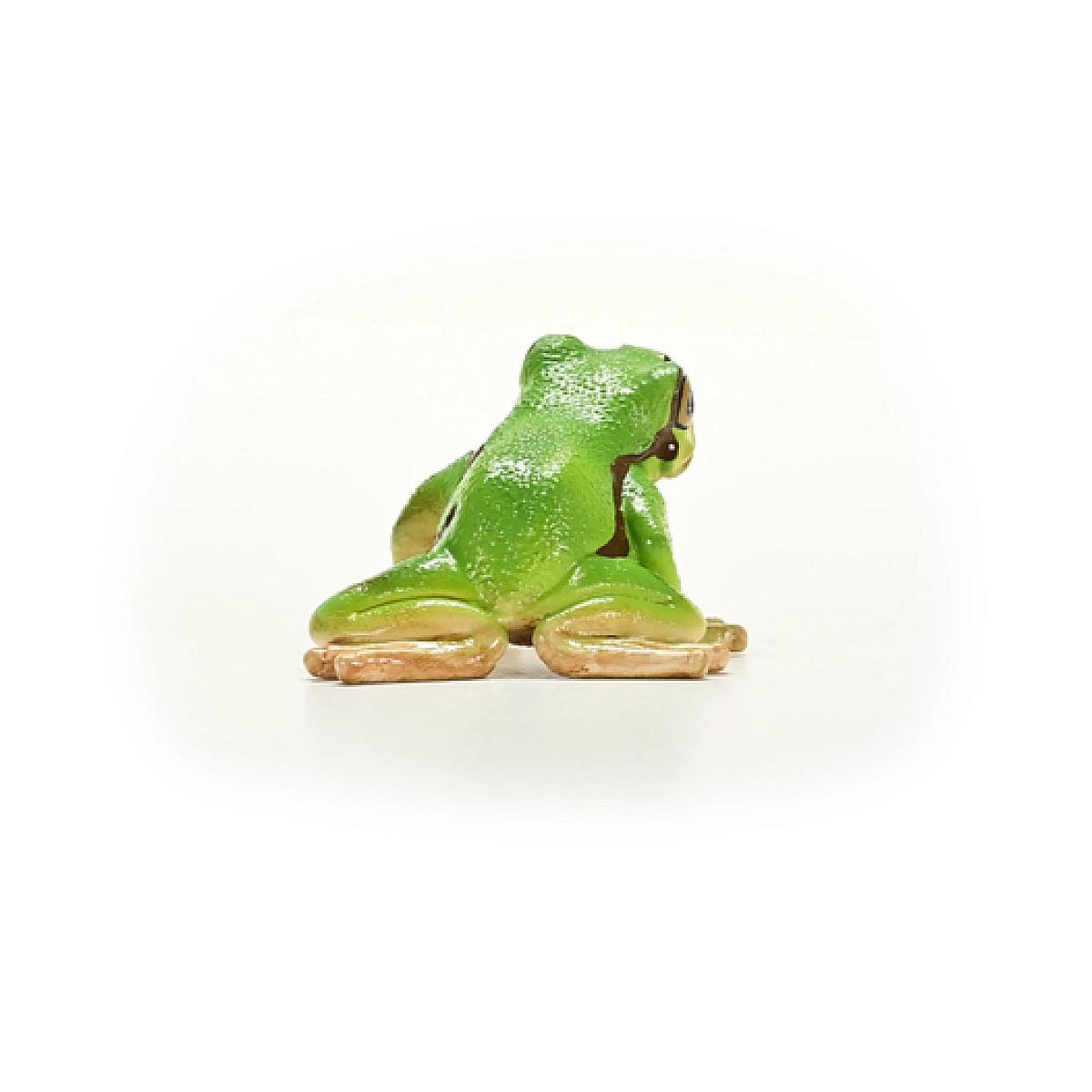 Voir la diapositive 3 : Schleich 14882 figurine Rainette Verte