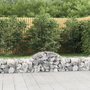 Voir la diapositive 1 : VIDAXL Paniers a gabions arques 7 pcs 200x50x40/60 cm fer galvanise