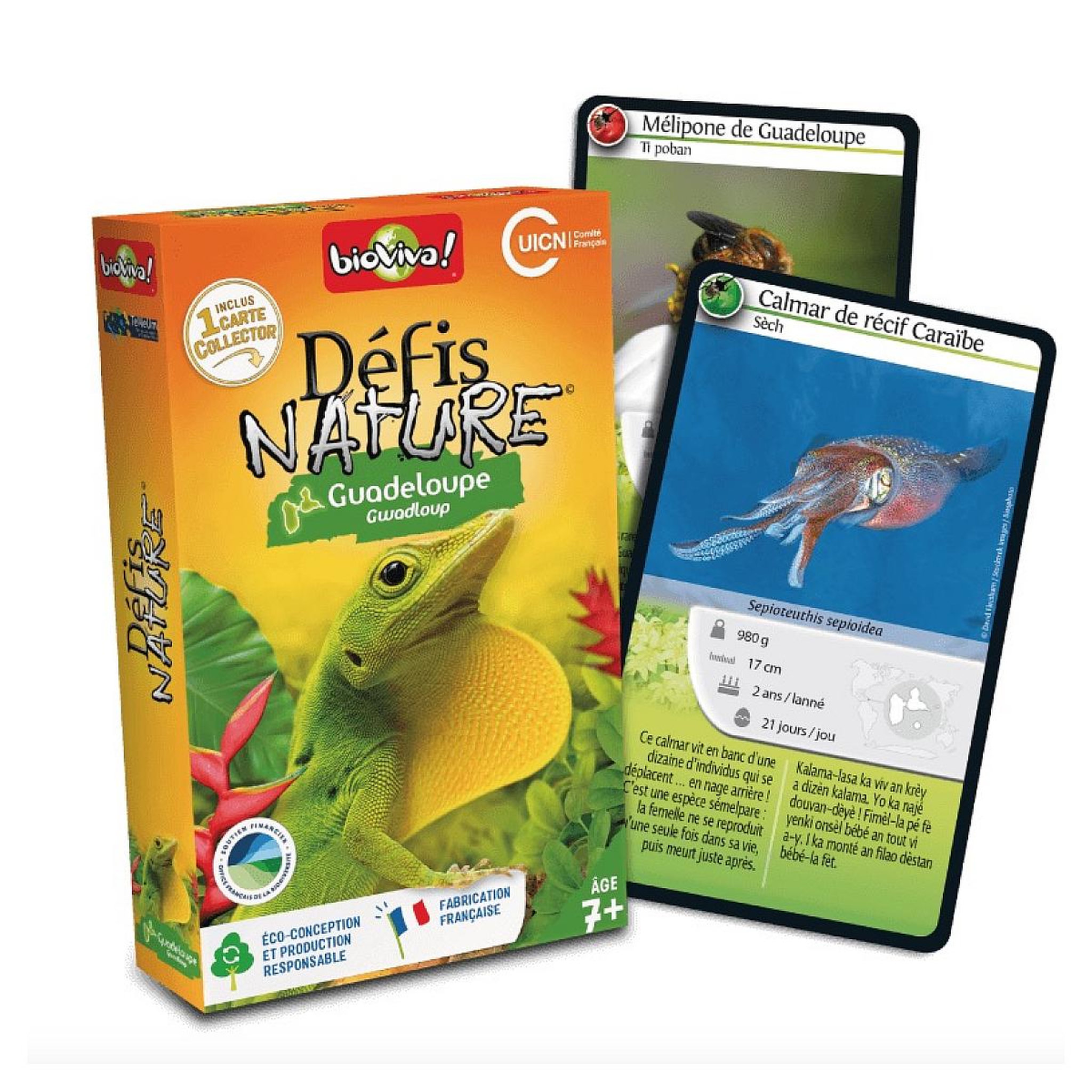 Voir la diapositive 2 : Bioviva Defis Nature - Guadeloupe