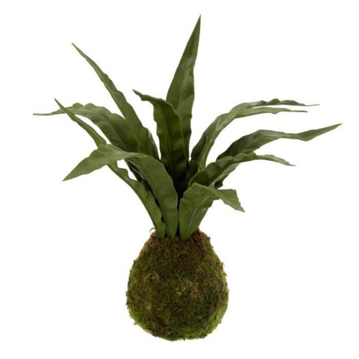 Paris Prix Plante Artificielle  Langue Belle-mère  40cm Vert