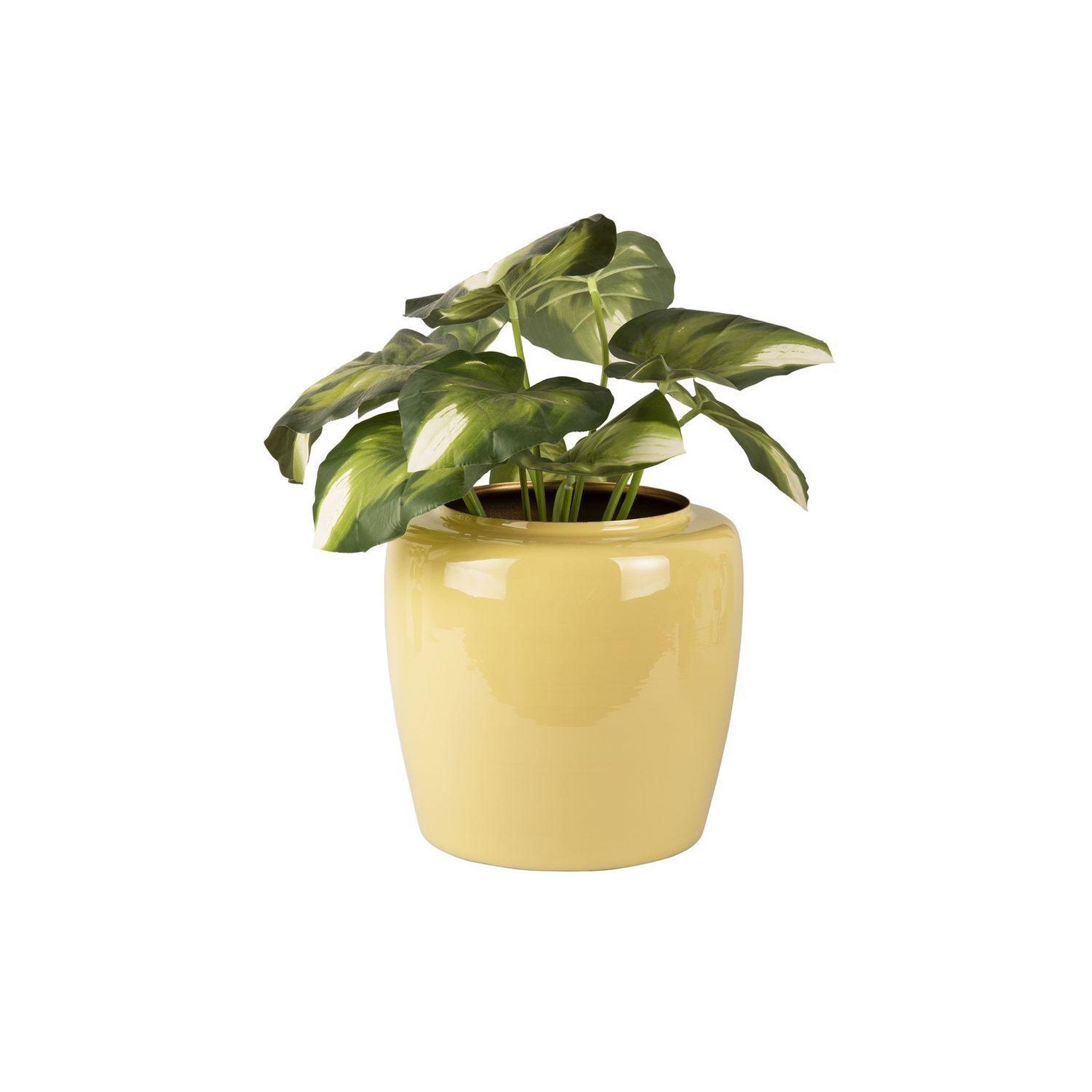 Voir la diapositive 2 : PRESENT TIME Pot à fleurs grand - vert jaune