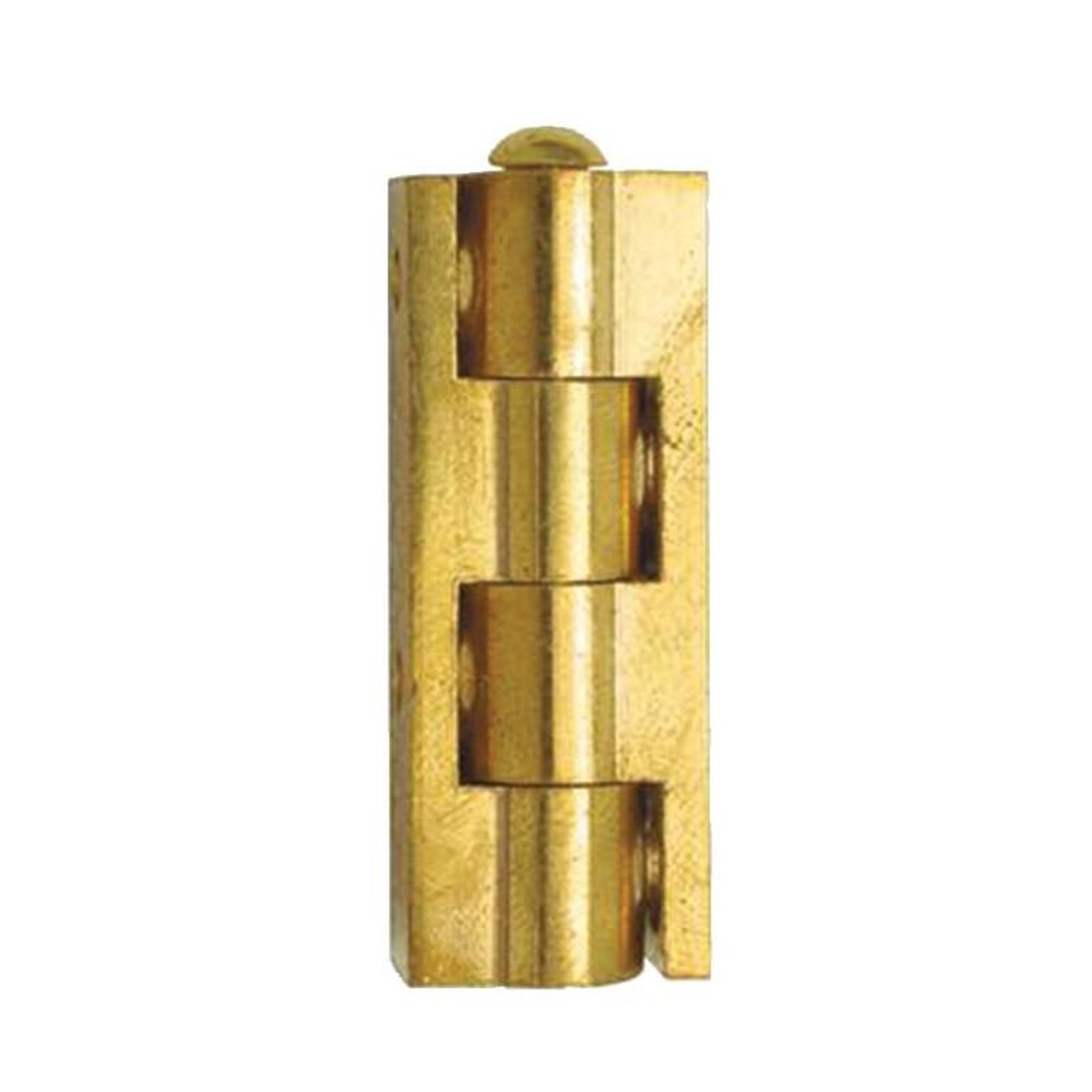 NOTRE SELECTION Charnière universelle en applique pour meuble hauteur 50mm diamètre nœud 10mm laiton poli CUB050S10