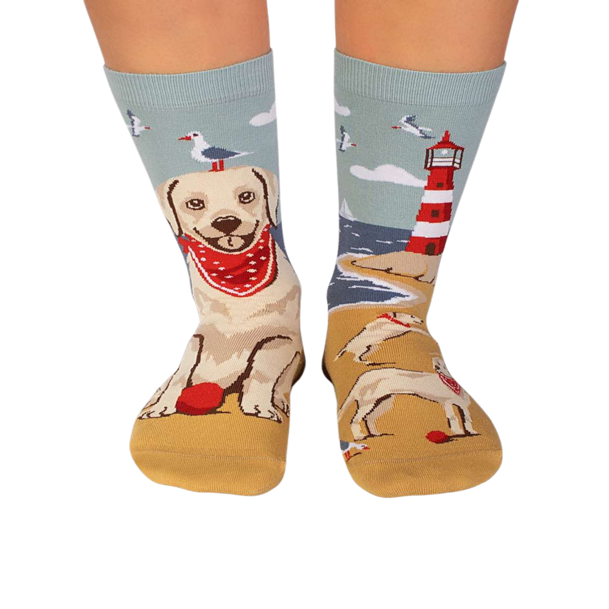 PIRIN HILL Chaussettes arty golden retriever. Coloris disponibles : Multicolore