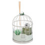 Voir la diapositive 1 :  Coffret de Fragrances  Cage  20cm Eucalyptus