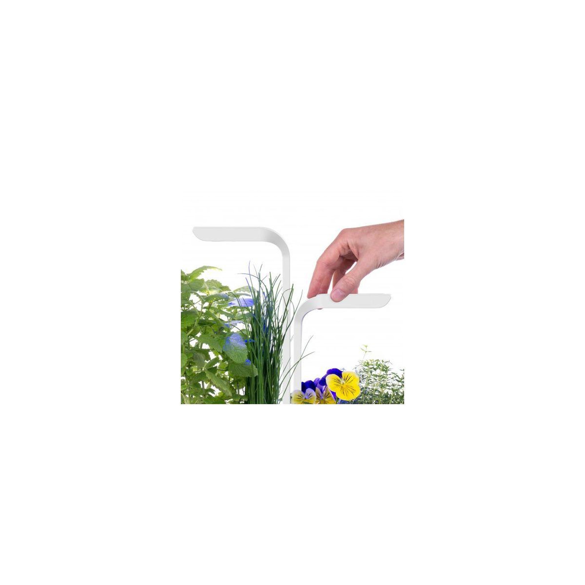 Voir la diapositive 5 : VERITABLE Jardin d'intérieur Classic Blanc