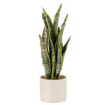 Paris Prix Plante Artificielle en Pot  Sansevieria  37cm Vert