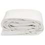 Voir la diapositive 3 : VIDAXL Bache blanc 3x6 m 600 /m²