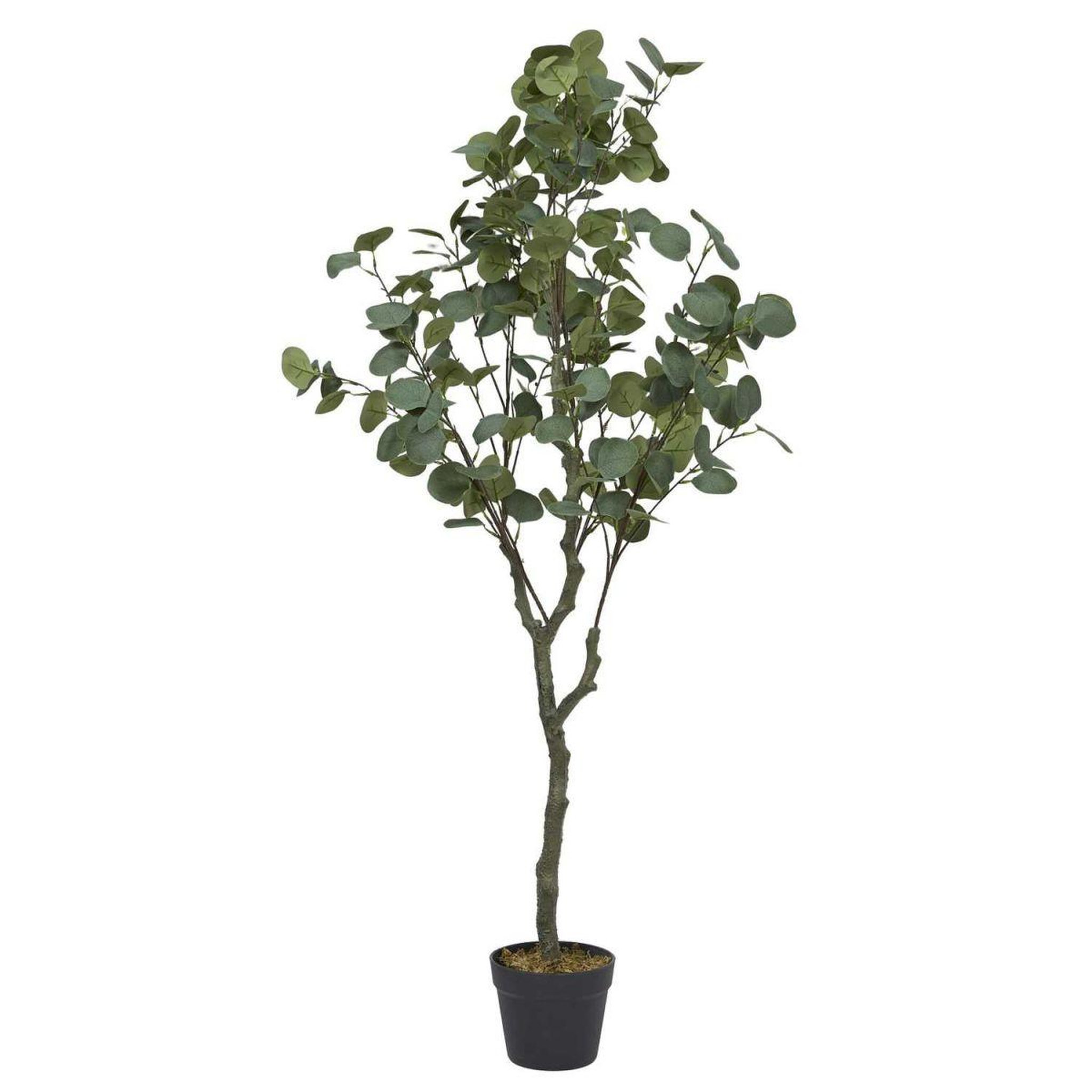 The Home Deco Factory Eucalyptus artificiel en pot  hal  130cm vert
