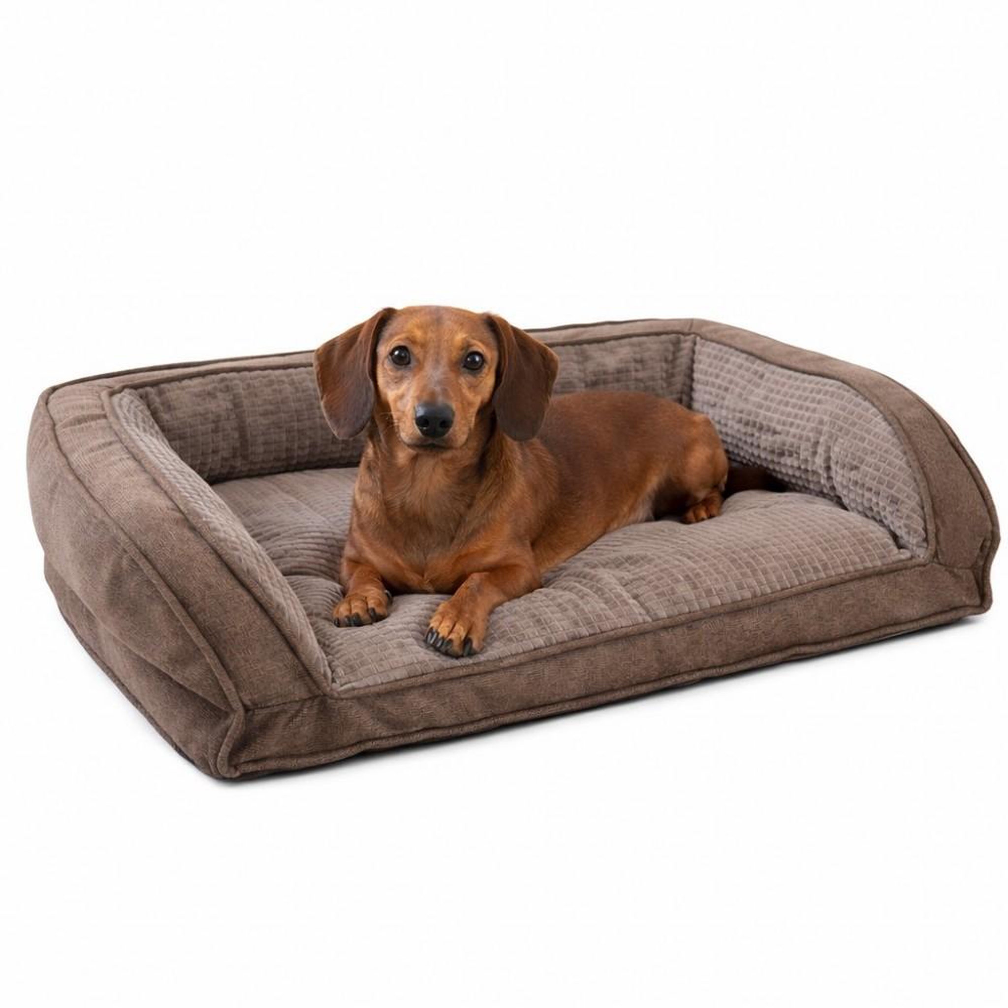 Voir la diapositive 4 : MON AMI LUKI Sofa soft antiderapant pour chien