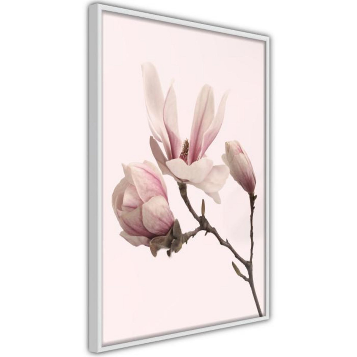 Paris Prix Affiche Murale Encadrée  Blooming Magnolias II