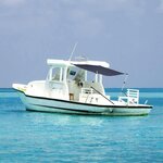 VIDAXL Extension d'ombrage T-Top bleu 170x170x(115-183) cm