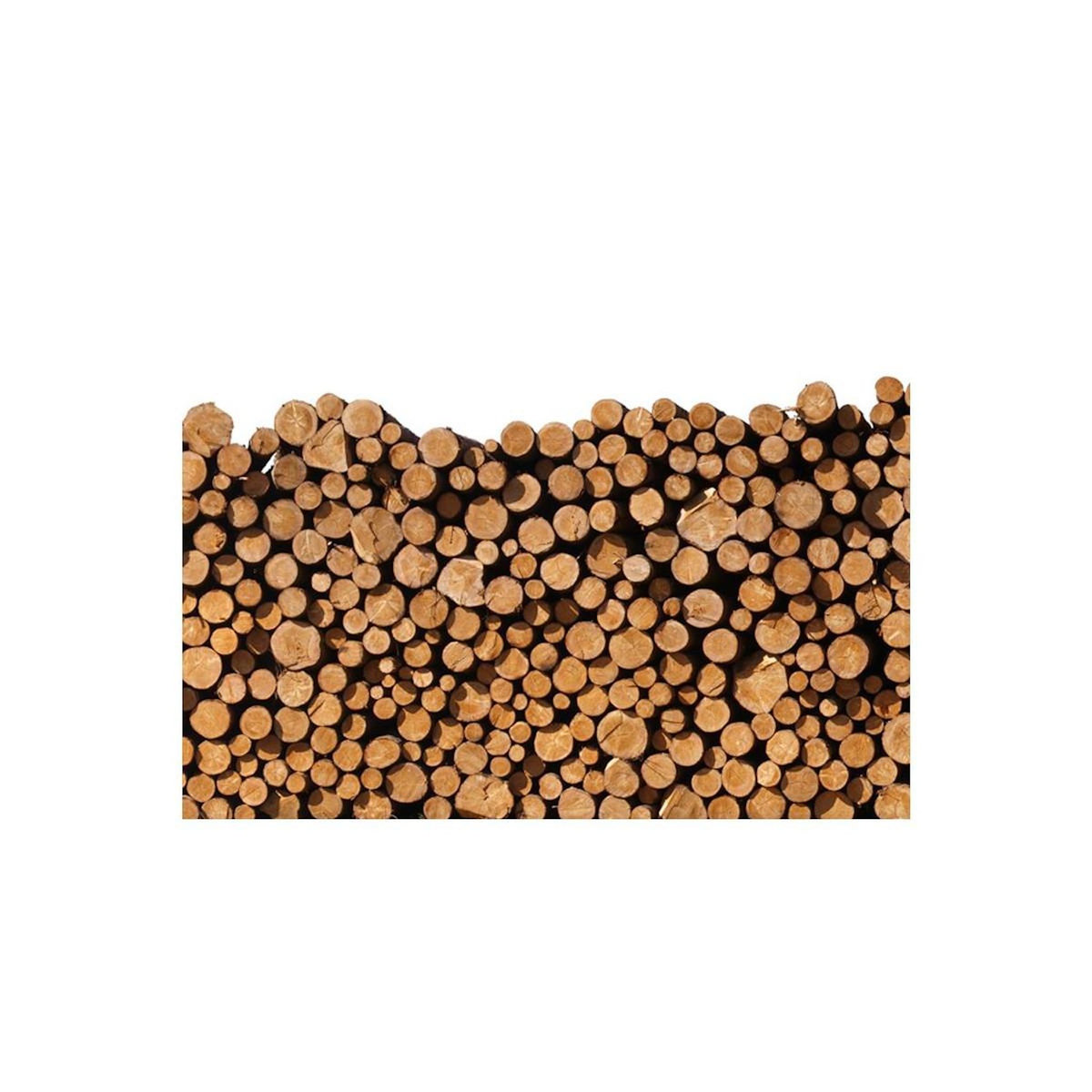 Paris Prix Papier Peint  Tas de Bois