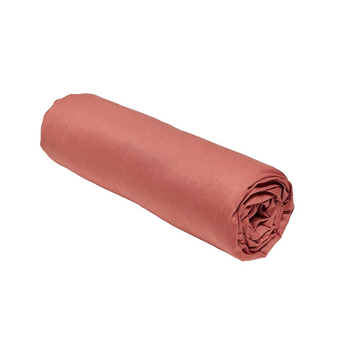 TODAY Drap housse uni en Coton 57 fils ESSENTIAL 