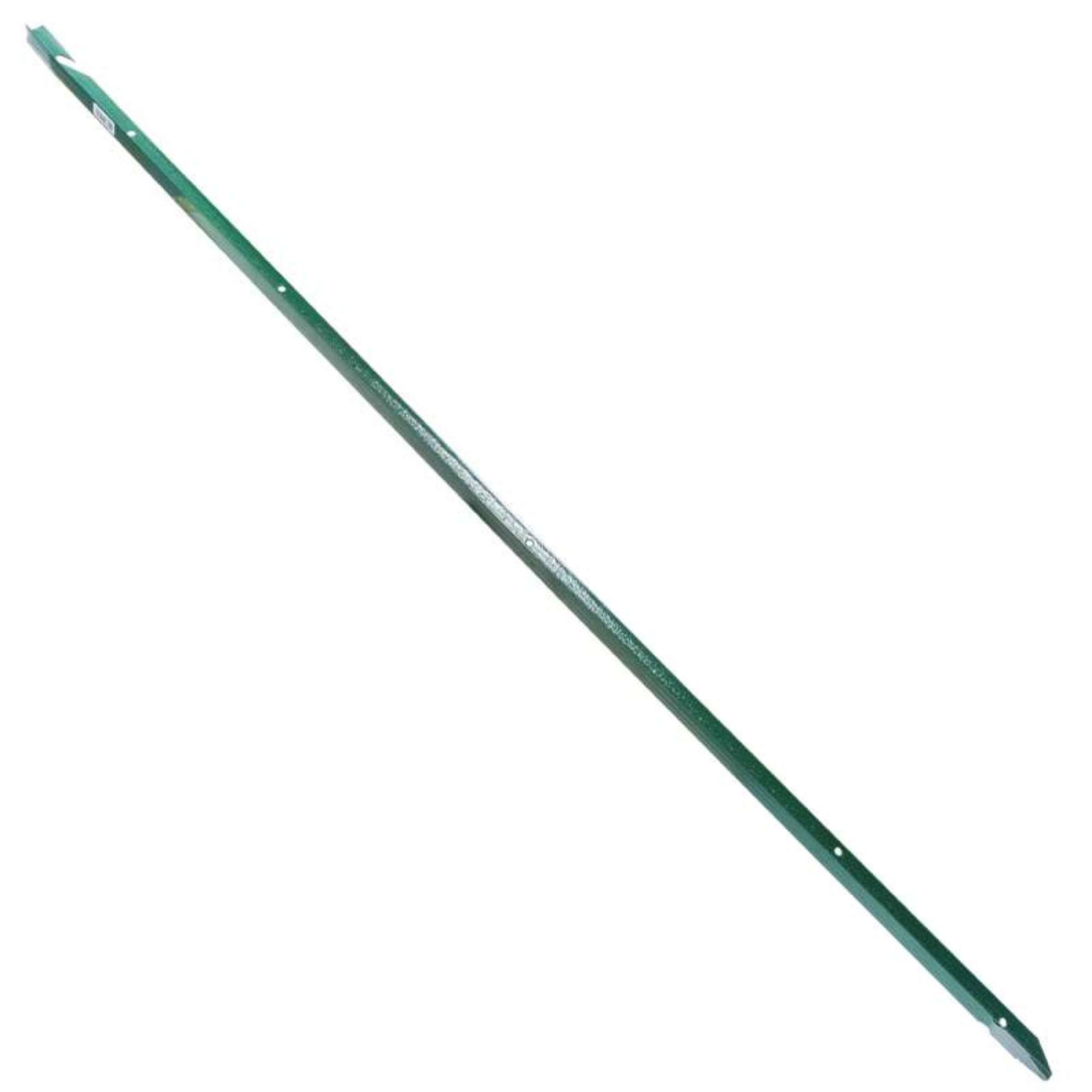 Voir la diapositive 1 : Tenax Piquet en fer verni  Taille 1 x 1.75 m