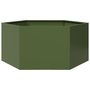 Voir la diapositive 1 : VIDAXL Jardiniere vert olive hexagone 104x90x45 cm acier