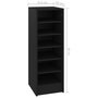 Voir la diapositive 6 : VIDAXL Armoire a chaussures Noir 31,5x35x90 cm Bois d'ingenierie