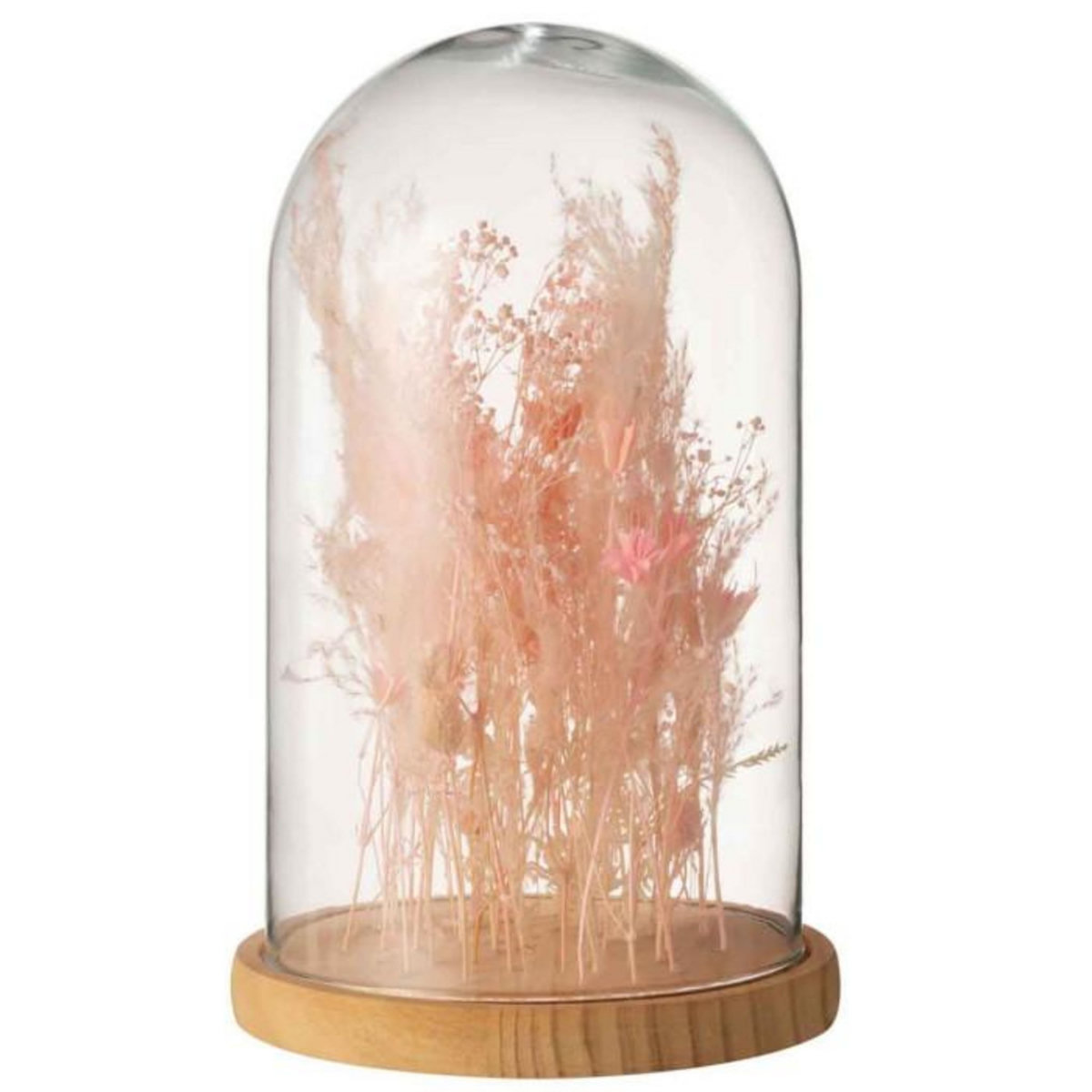 Paris Prix Cloche en Verre Déco  Fleurs Séchées  38cm Rose