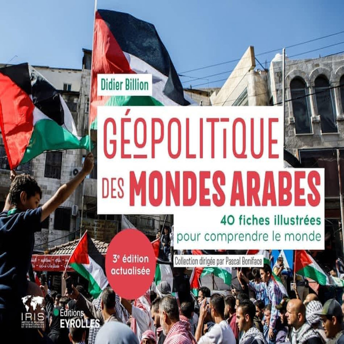 GEOPOLITIQUE DES MONDES ARABES. 40 FICHES ILLUSTREES POUR COMPRENDRE LE MONDE, 3E EDITION ACTUALISEE, Billion Didier