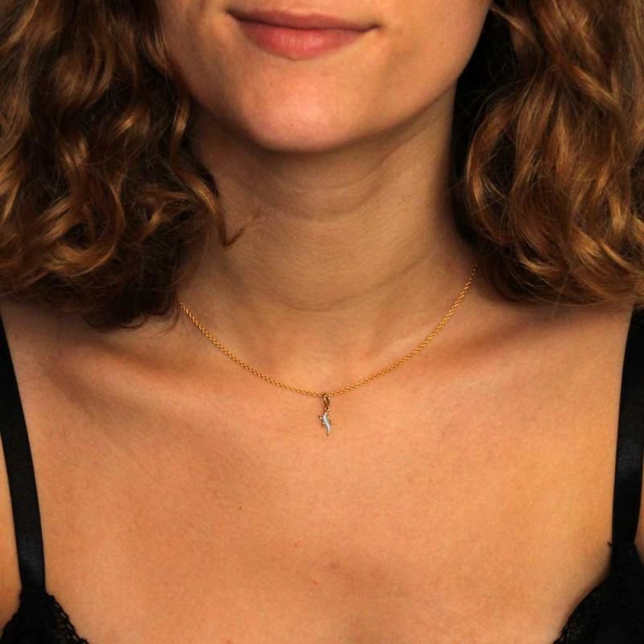 Voir la diapositive 3 : L'ATELIER D'AZUR Collier - Pendentif Or Bicolore Salamandre - Chaine Dorée
