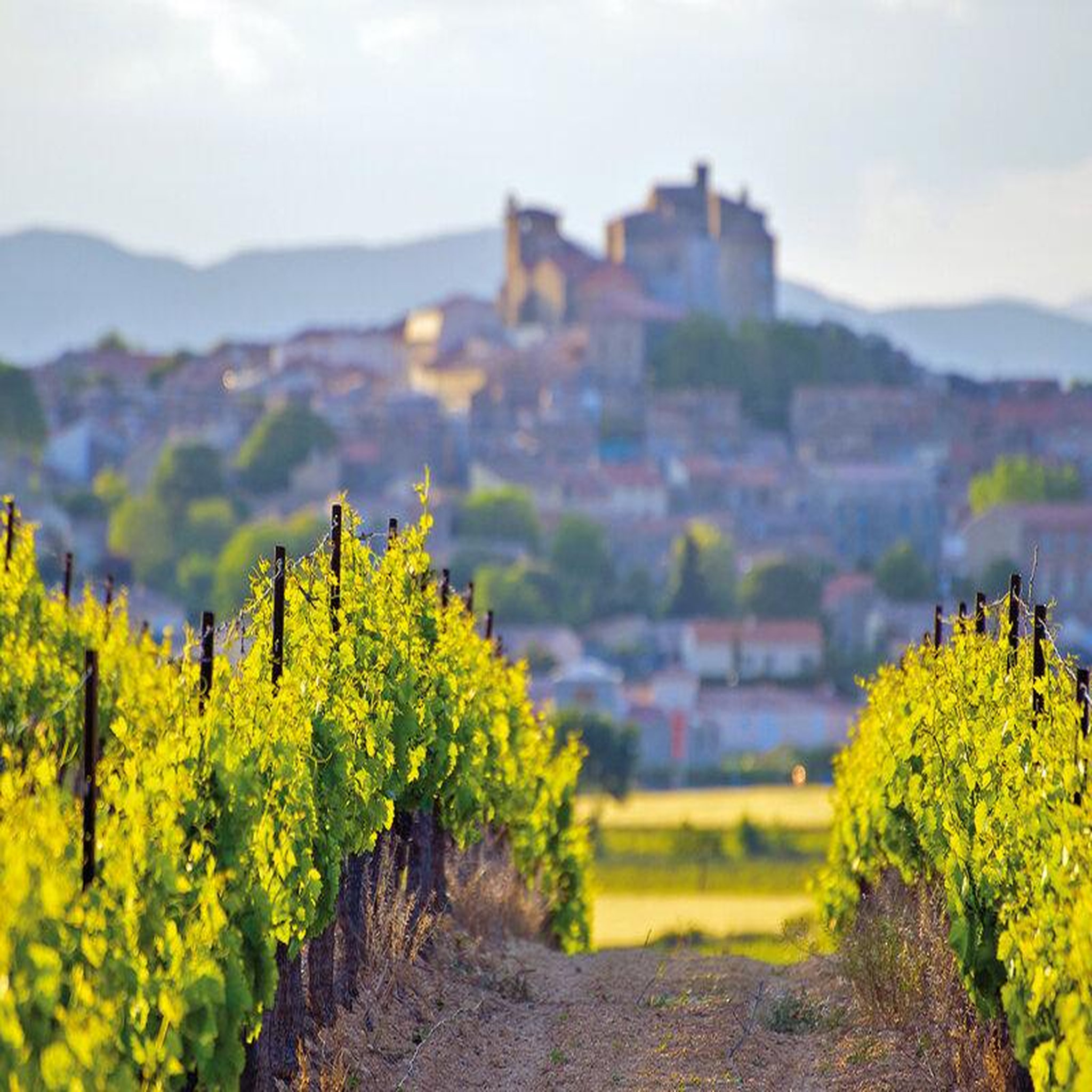 Voir la diapositive 5 : Smartbox Voyage autour du vin - coffret cadeau séjour