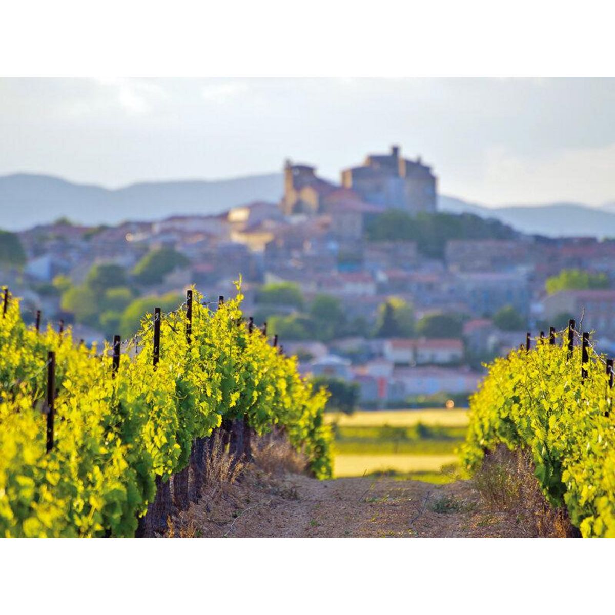 Smartbox Voyage autour du vin - Coffret Cadeau Séjour