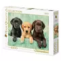 CLEMENTONI Puzzle 1000 chiens : Trio de labradors