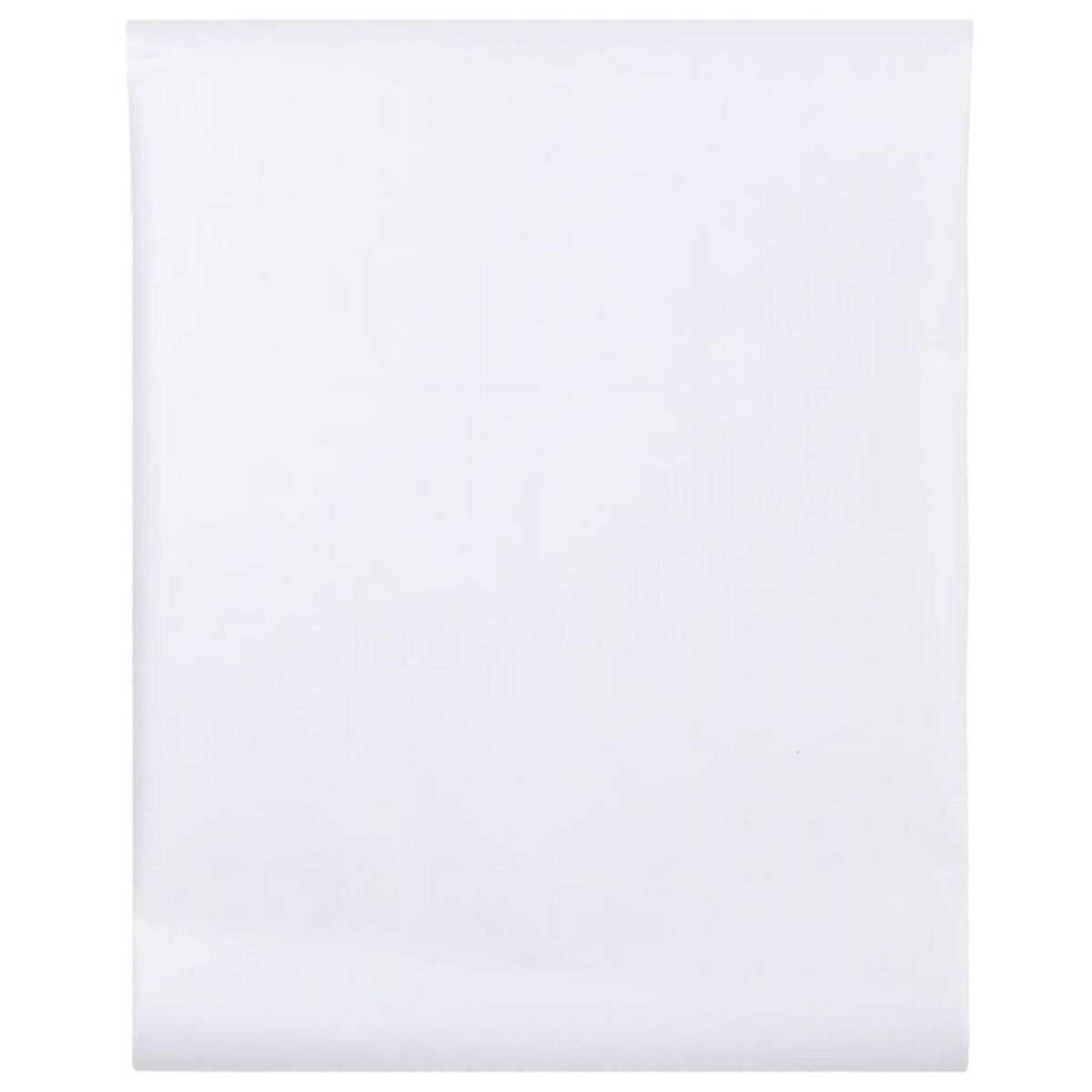 VIDAXL Film pour fenetre depoli blanc 45x500cm PVC