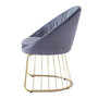 Voir la diapositive 4 : Paris Prix Chaise Design en Velours  Mayra  84cm Gris