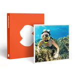 Smartbox Plongée en Corse : sortie en snorkeling d'1h et baptême de 30 min à Calvi - Coffret Cadeau Sport & Aventure