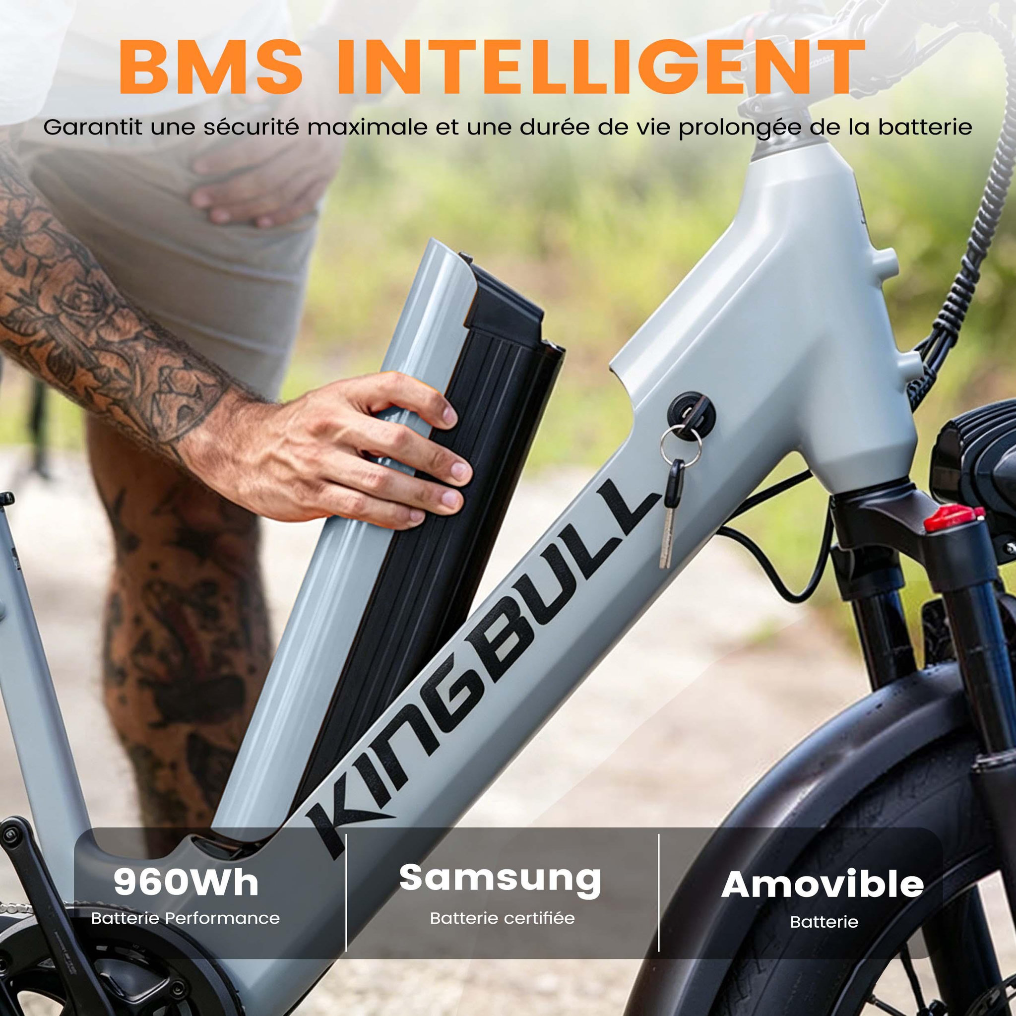 Voir la diapositive 5 : KINGBULL Vélo cargo électrique kingbull voyager 2.0