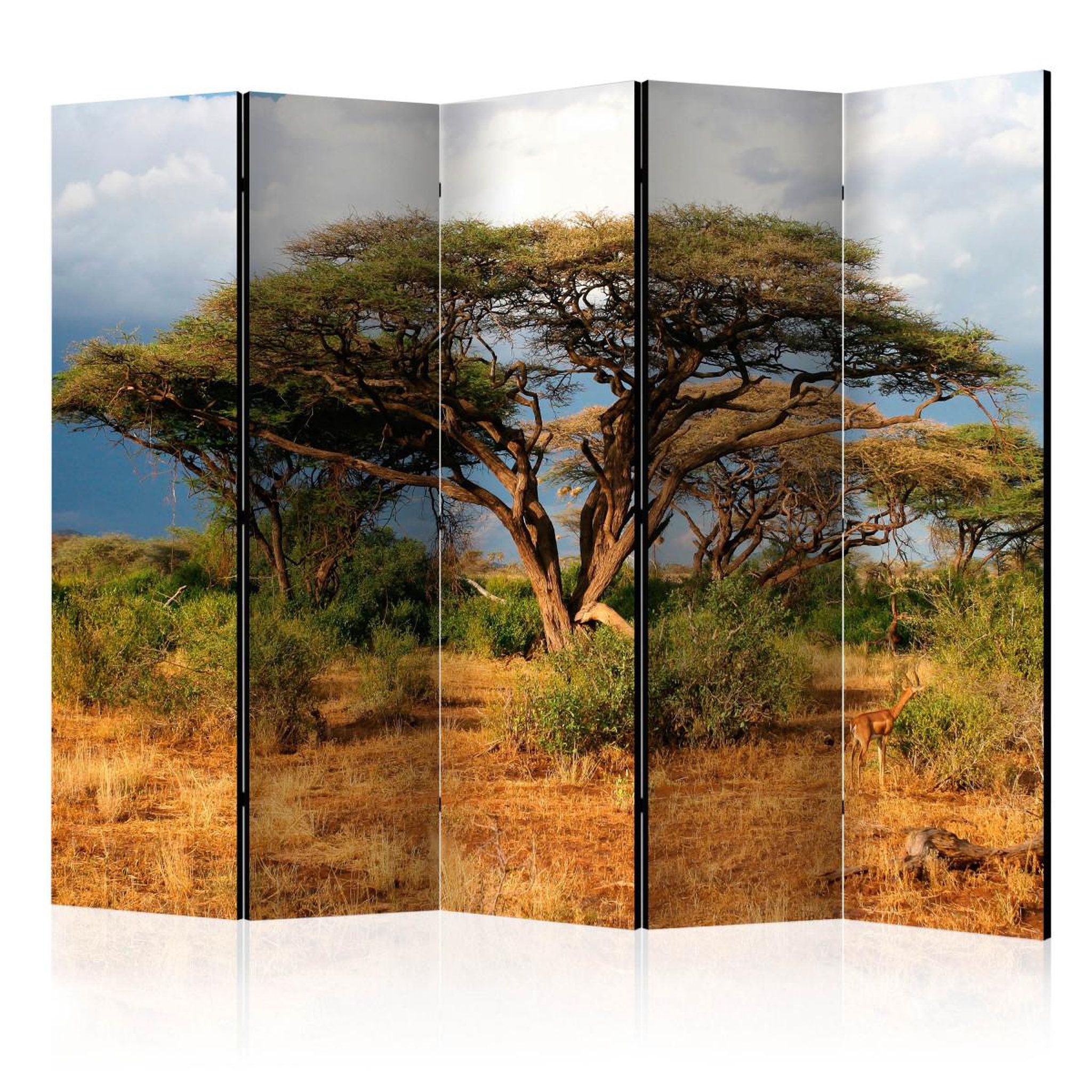 Paris Prix Paravent 5 volets  samburu national reserve, kenya  172x225cm