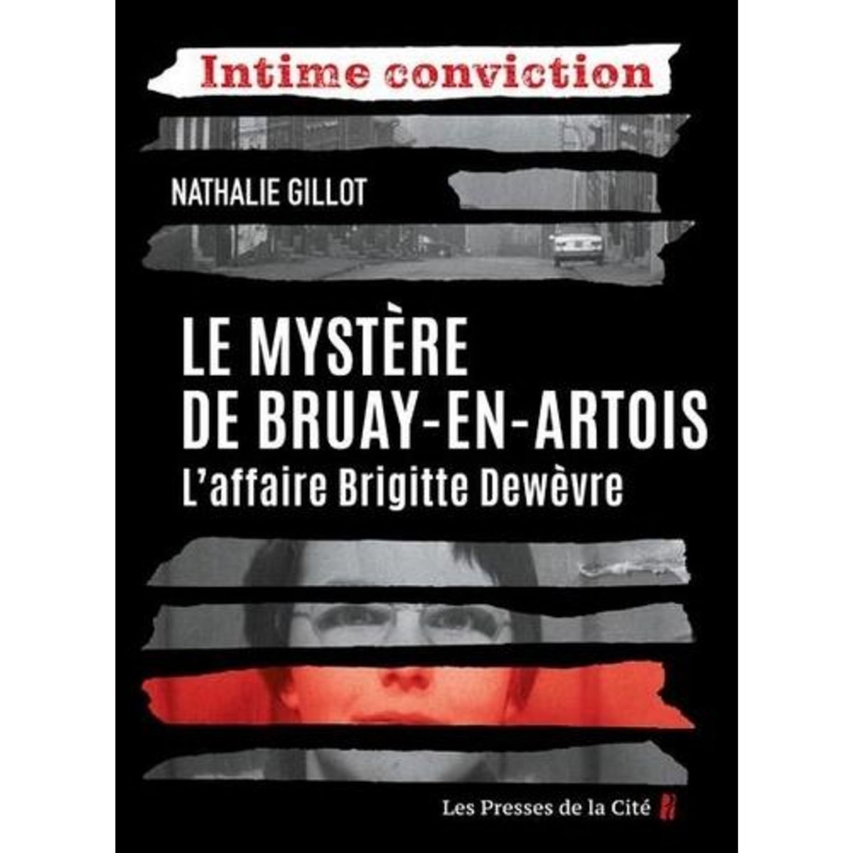 LE MYSTERE DE BRUAY-EN-ARTOIS. L'AFFAIRE BRIGITTE DEWEVRE, Gillot Nathalie