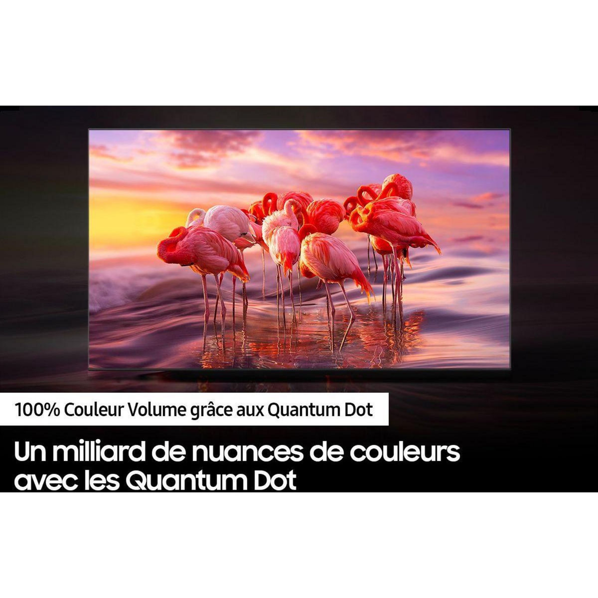 Samsung TV QLED TQ32Q50A 2024-32 pouces (80cm)