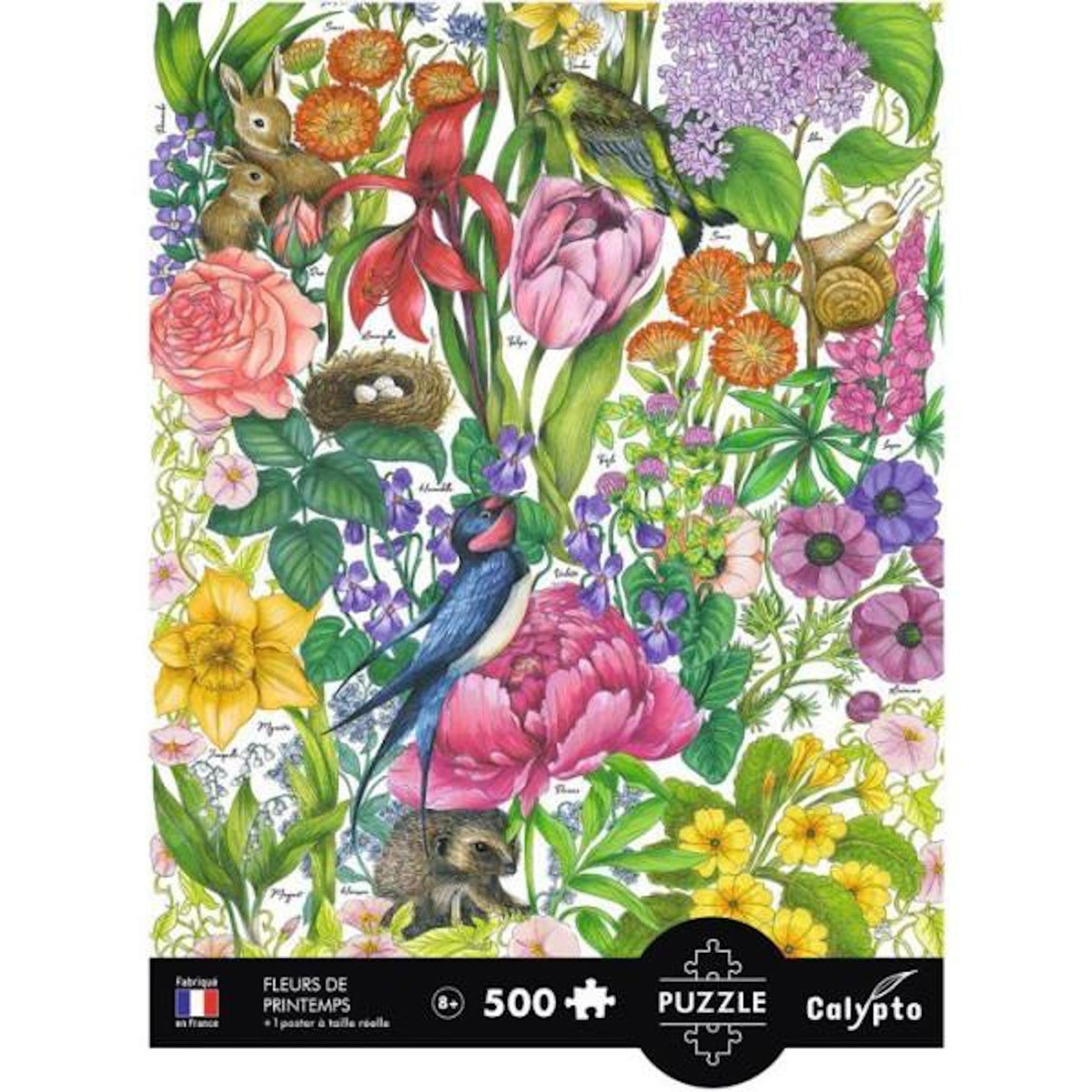 Sentosphere 500 p - Les Fleurs de Printemps