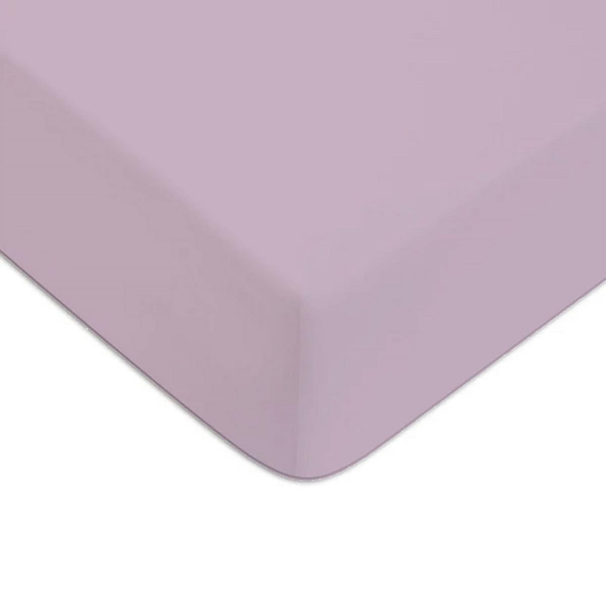 FUTURE HOME Drap housse en polycoton uni violet parme violet