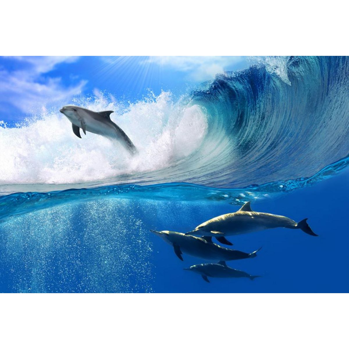 Sous main classique 40x50cm décor dauphins