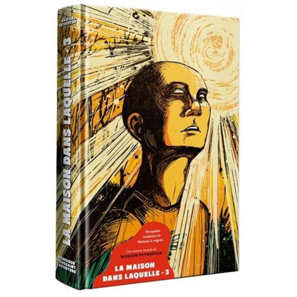 LA MAISON DANS LAQUELLE TOME 3 : LES NIDS VIDES, Petrosyan Mariam