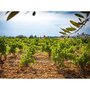 Smartbox Sélection Châteauneuf-du-Pape : 6 vins de renom livrés à domicile - Coffret Cadeau Gastronomie