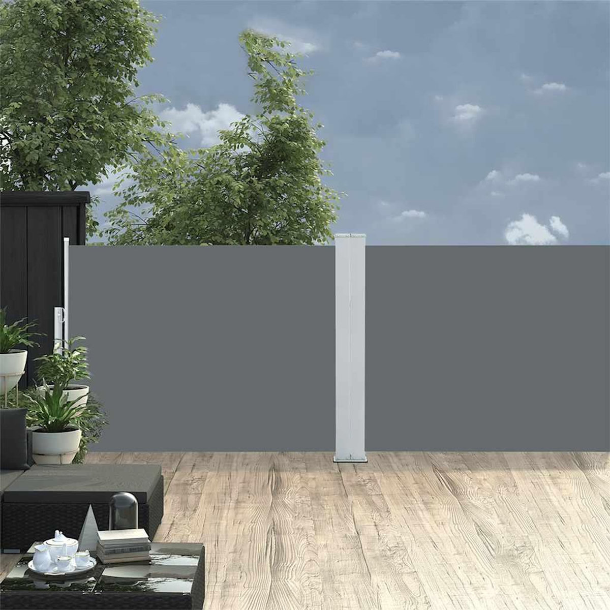 VIDAXL Auvent lateral retractable Anthracite 100 x 1000 cm