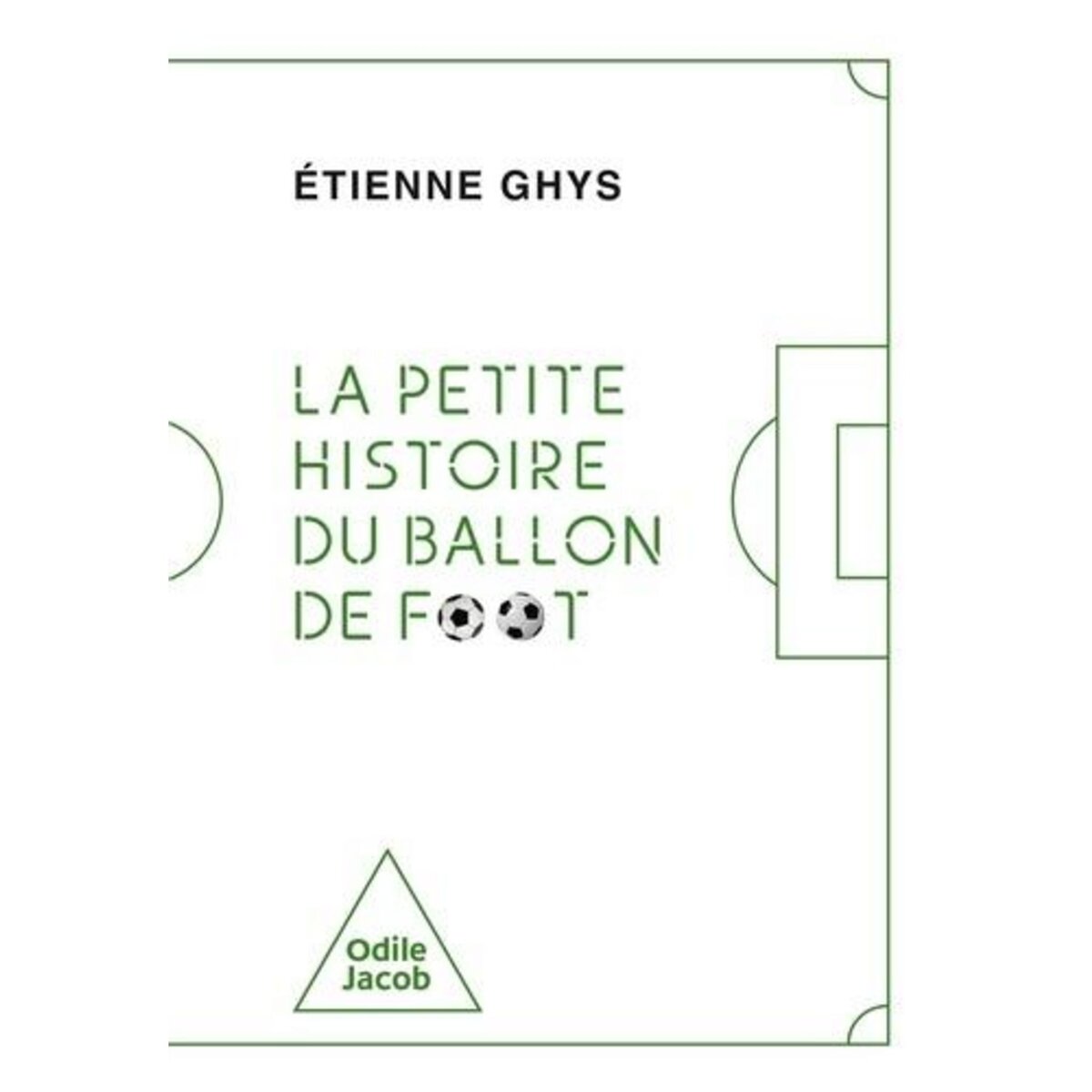 LA PETITE HISTOIRE DU BALLON DE FOOT, Ghys Etienne pas cher Auchan.fr