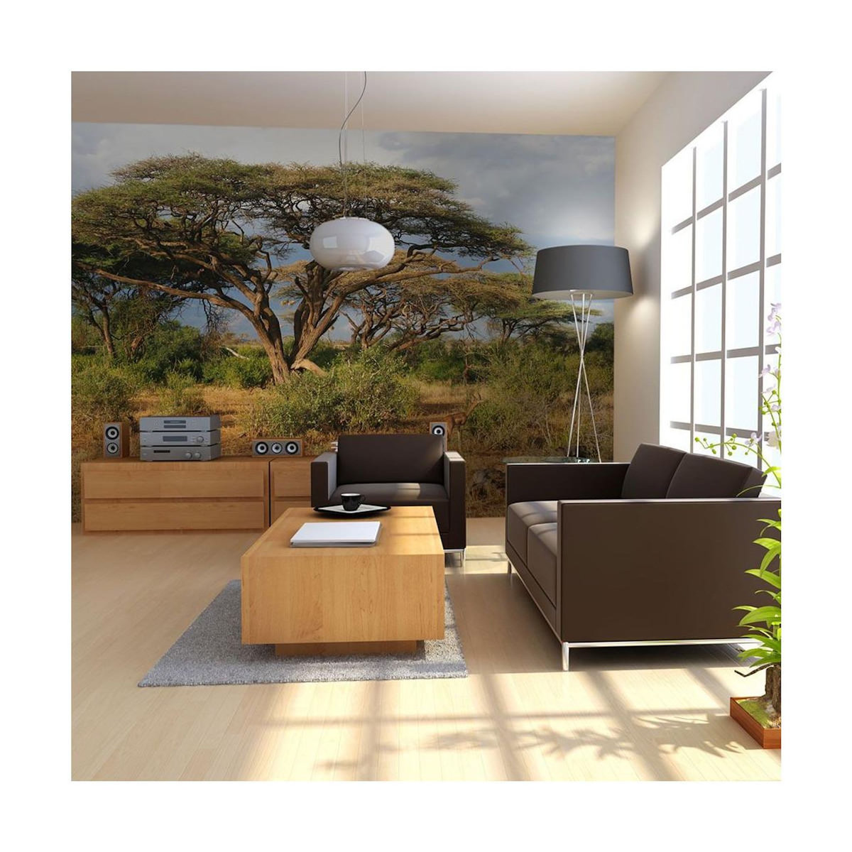 Paris Prix Papier Peint  Réserve Nationale de Samburu, Kenya