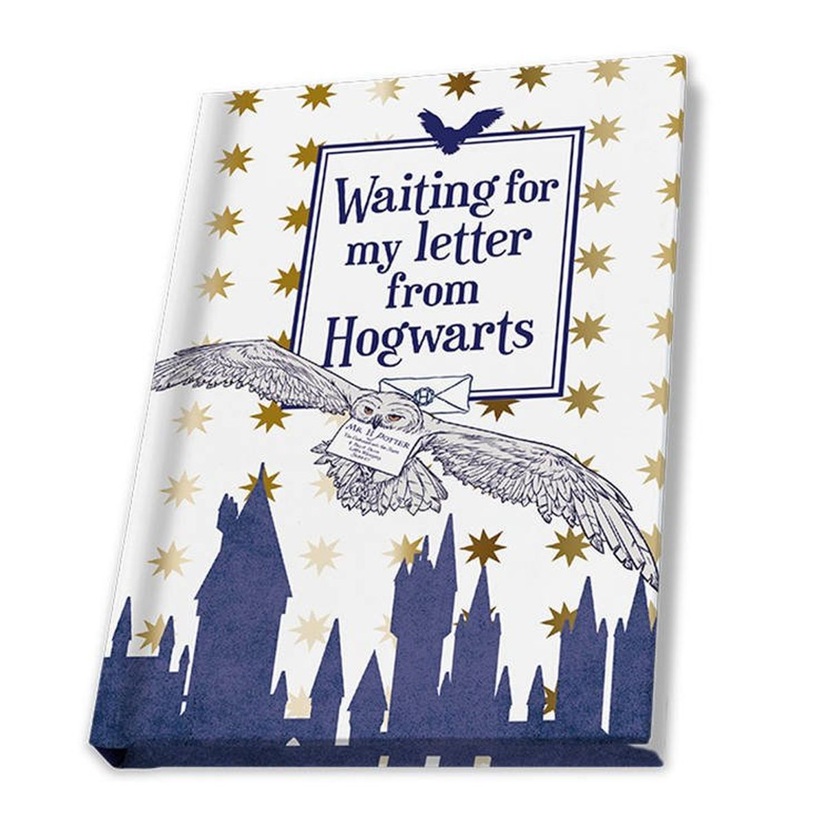 Coffret Hedwige Harry Potter