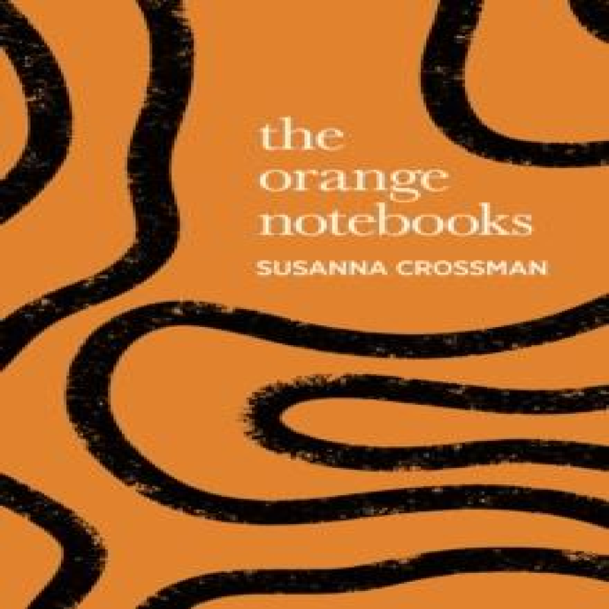 LIVRES Orange Notebooks - Susanna Crossman