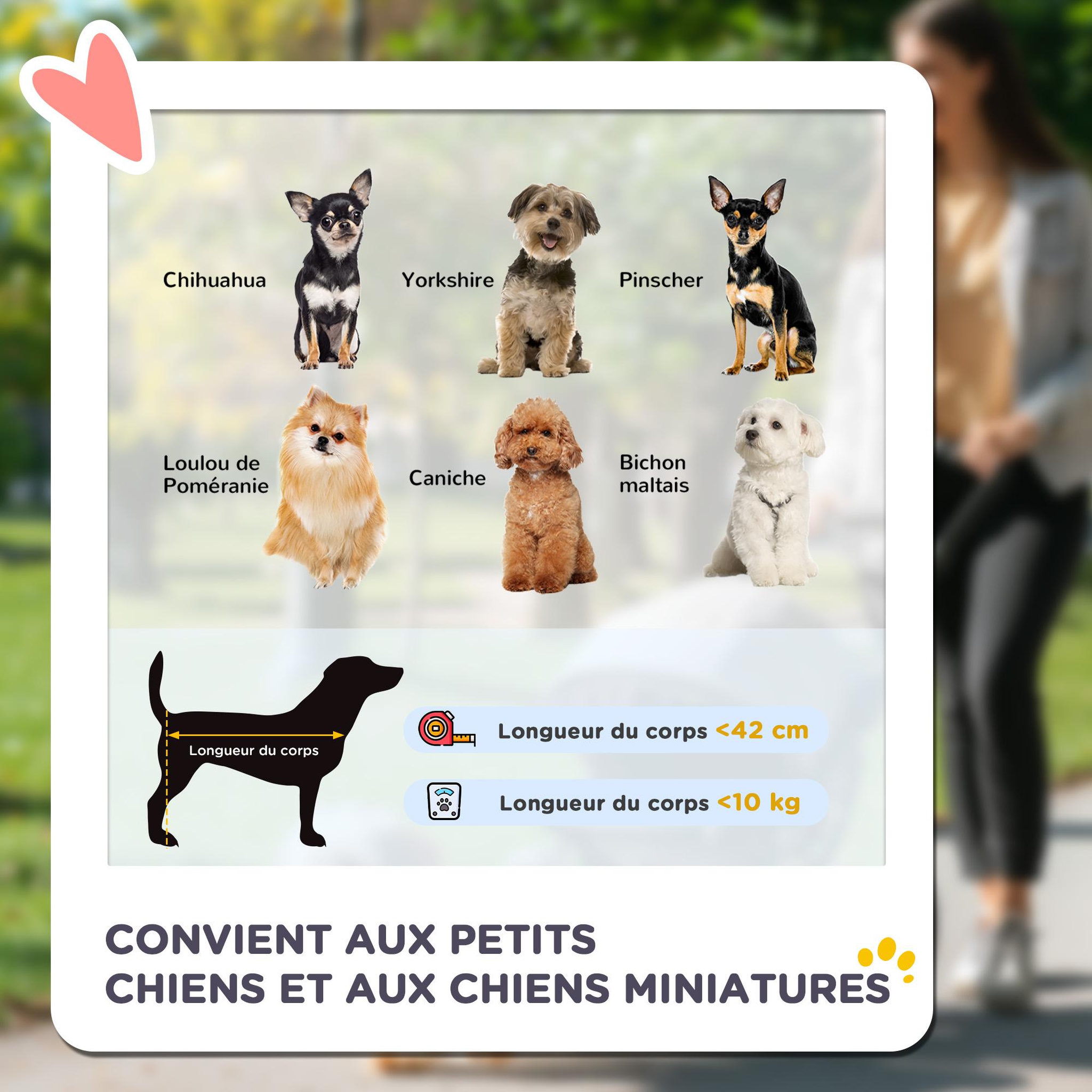 Voir la diapositive 4 : PAWHUT Poussette pliable pour chien chat - 4 roues doubles, 2 freins, attache, coussin inclus - acier Oxford bleu