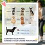 Voir la diapositive 4 : PAWHUT Poussette pliable pour chien chat - 4 roues doubles, 2 freins, attache, coussin inclus - acier Oxford bleu