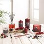 Voir la diapositive 2 : Paris Prix Diffuseur de Parfum  Essentiel II  70ml Fruits Rouges