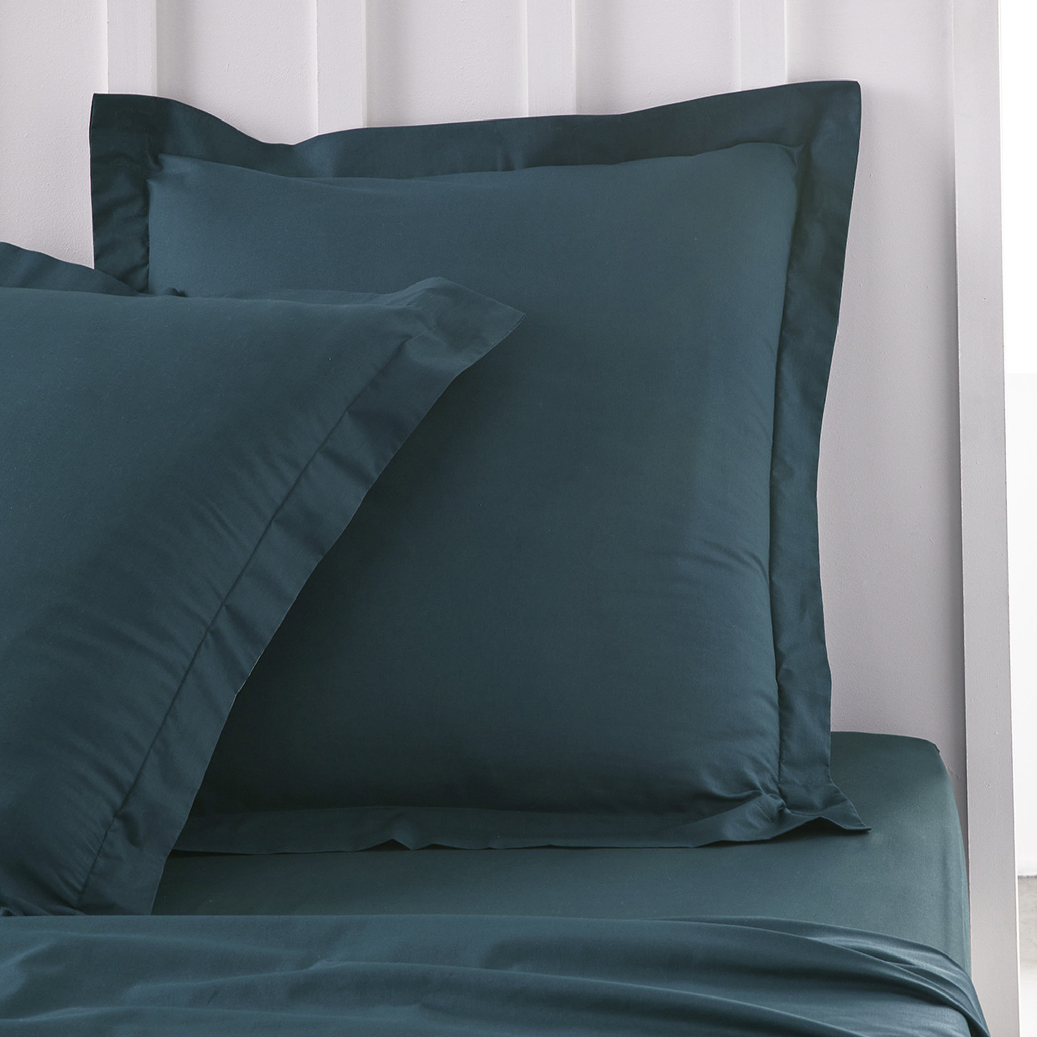Voir la diapositive 1 : TODAY Taie d'oreiller unie en Coton 57 fils ORGANIC 