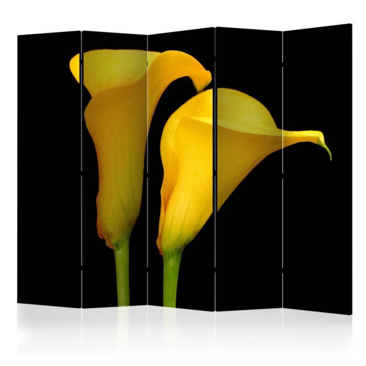 Paris Prix Paravent 5 Volets  Two Yellow Calla Flowers  172x225cm